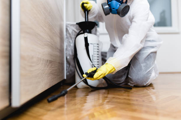 Best Pest Control Near Me  in Grandville, MI