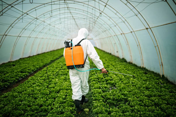 Professional Pest Control in Grandville, MI