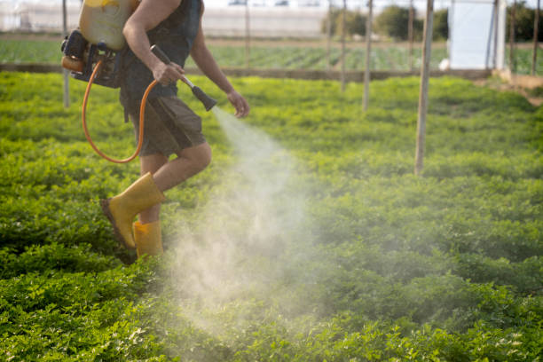 Best Pest Control for Homes  in Grandville, MI