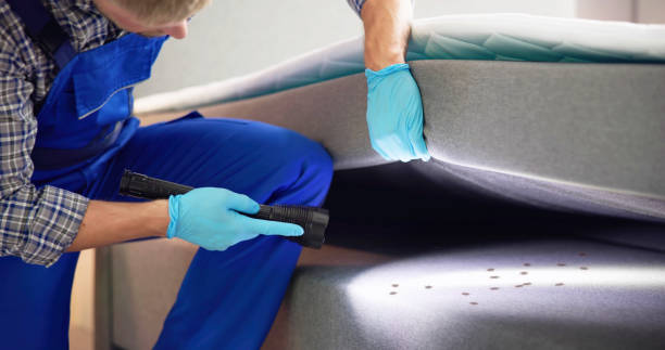 Best Commercial Pest Control Services  in Grandville, MI