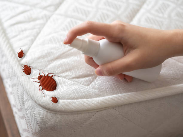 Best Local Pest Control Services  in Grandville, MI