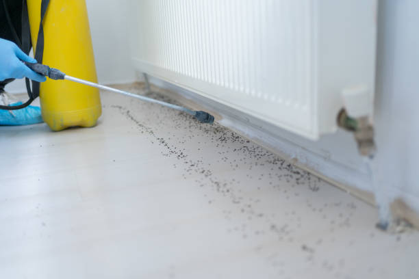 Best Wildlife Control Services  in Grandville, MI